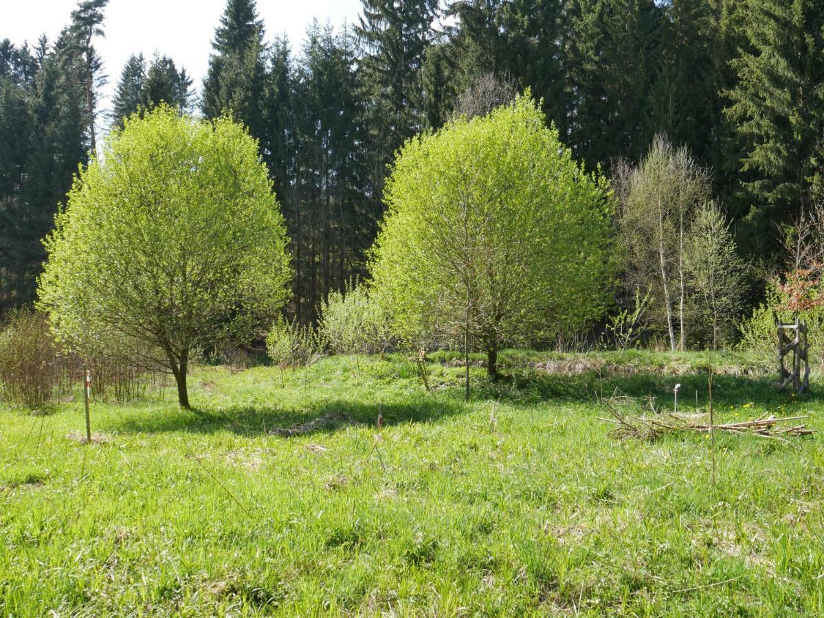 Gruenlasmuehle Brand Bagian luar foto